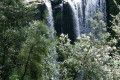 Hopetoun-Falls-2005-height-30m-Aire-River-near-Beech-Forest-VIC