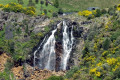 Waratah-Falls-2007-Waratah-TAS