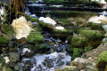 Warra-Falls-1-2009-Warra-Creek-Arthur-River-TAS