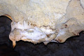 21-Stalactites-on-cave-ceiling